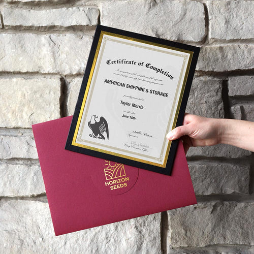 Black cardboard certificate frame and a custom certificate holder with company logo.