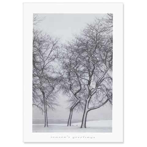 Snow Blown Trees Holiday Card