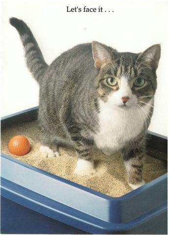 Sandbox Cat Funny Golf Greeting Card